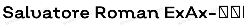 Salvatore Roman ExAx字体转换